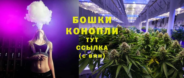 PSILOCYBIN Аша