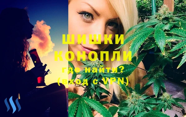 дурь Новокубанск