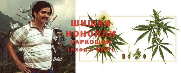 эйфоретик Янаул